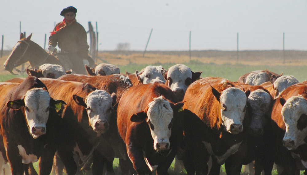 Se viene una nueva edición de la Jornada Ganadera del Sudeste Santiagueño