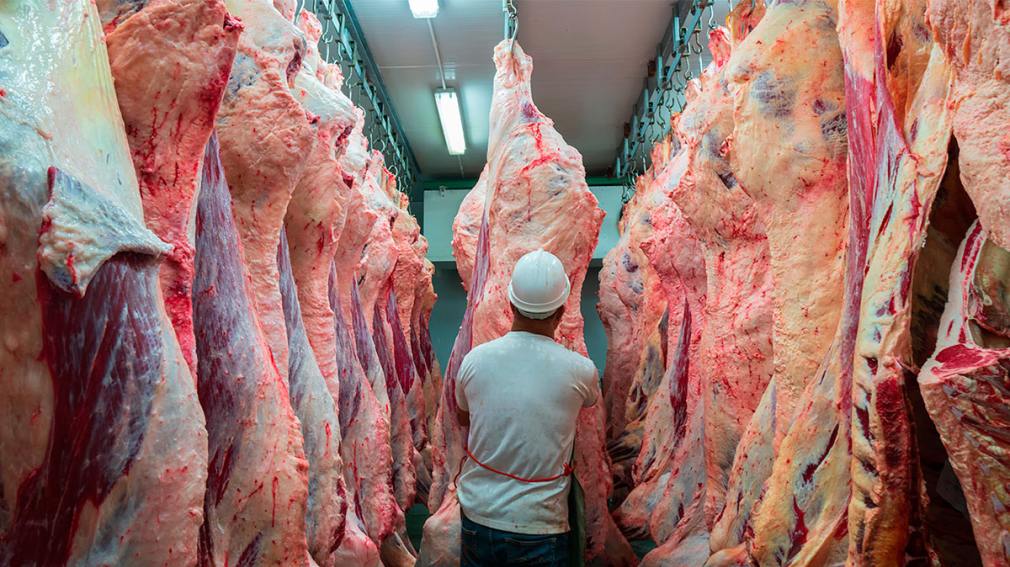 Argentina, el único país del Mercosur que exportó menos carne en 2025