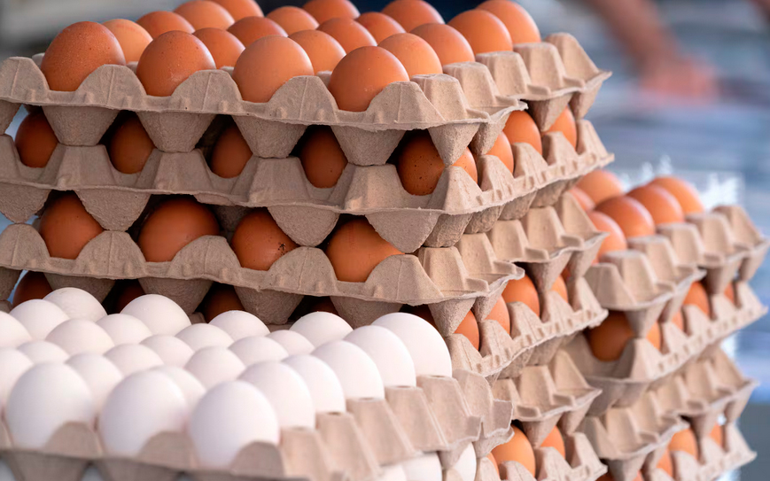 Consumo récord: Argentina alcanzó 380 huevos per cápita en el primer semestre de 2025