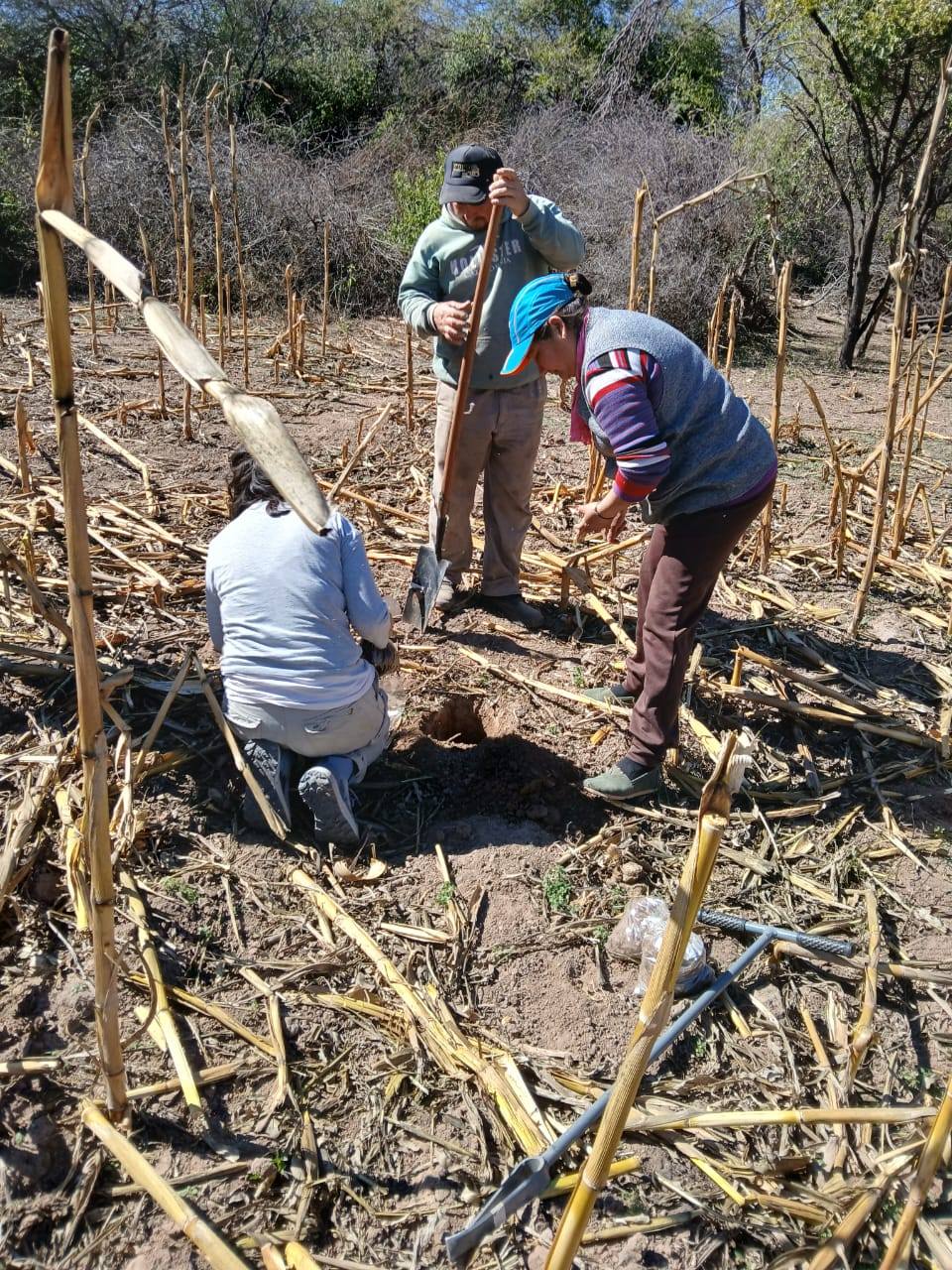 INTA Frías impulsa prácticas sostenibles con toma de muestras de suelo en Choya