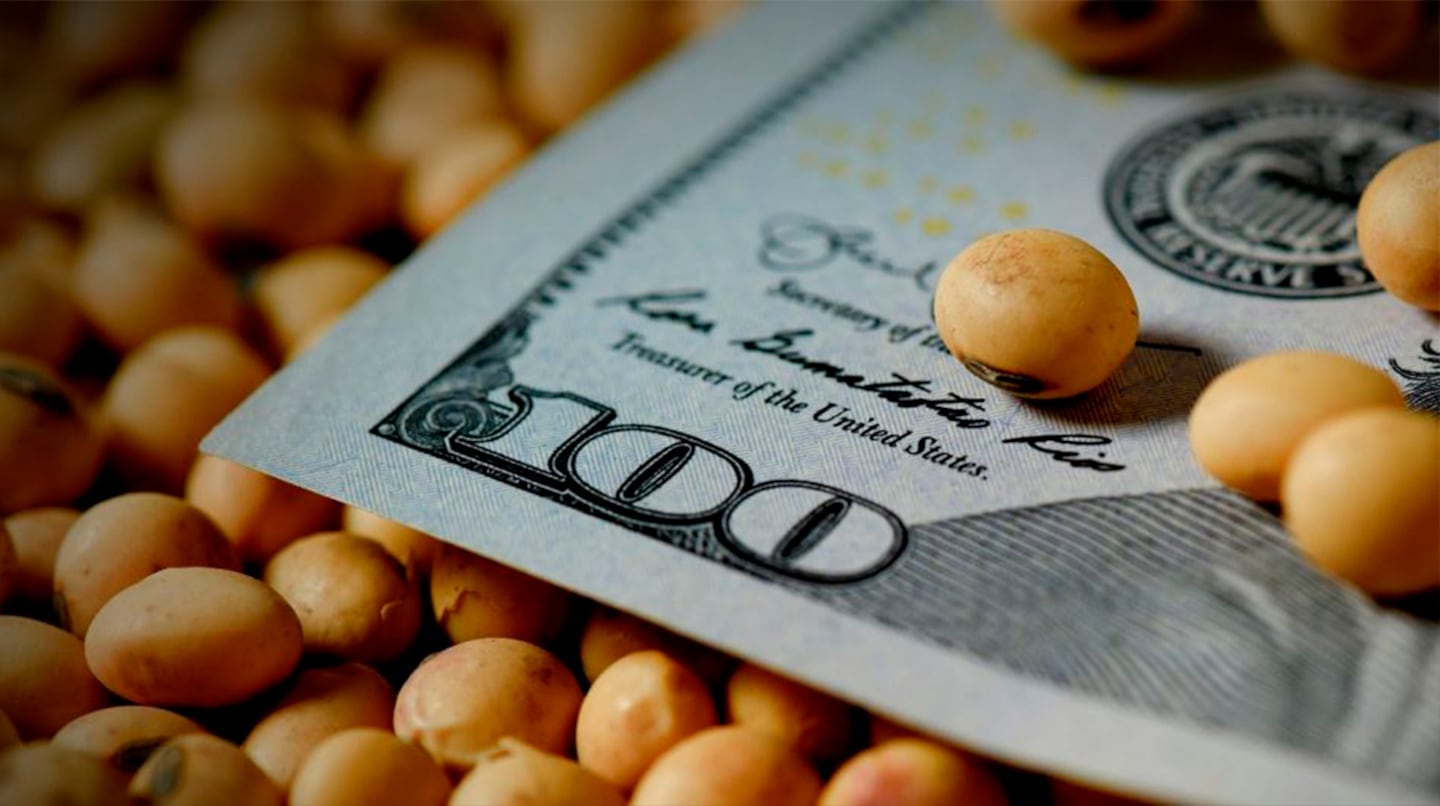 La soja cerró a $400.000 en Rosario, impulsada por la suba del dólar