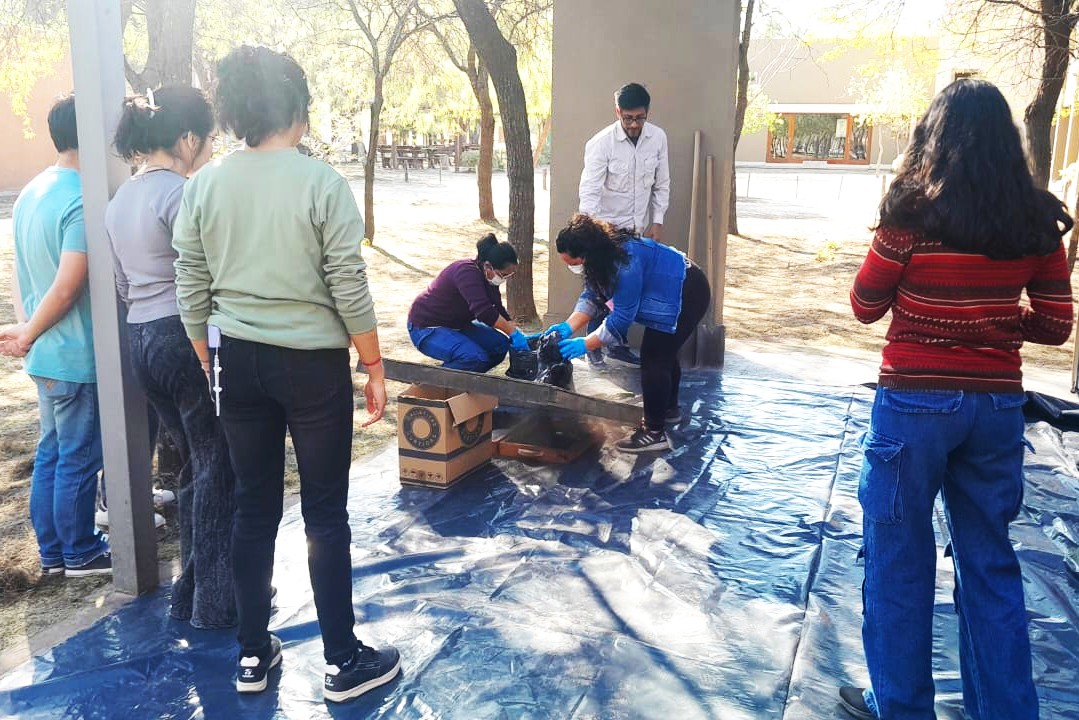 La UNSE y el INTA impulsan el uso de la carbonilla como sustrato para producción agroecológica