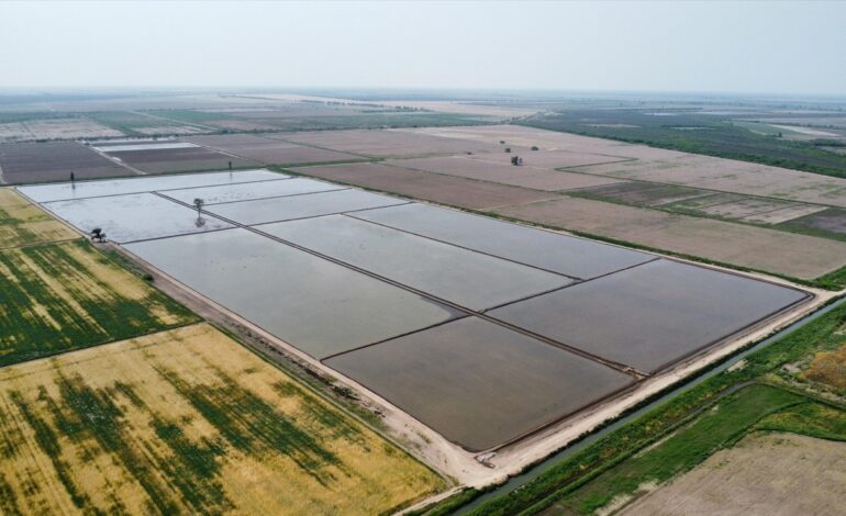 Informe clave sobre el manejo del riego en la alfalfa del Río Dulce