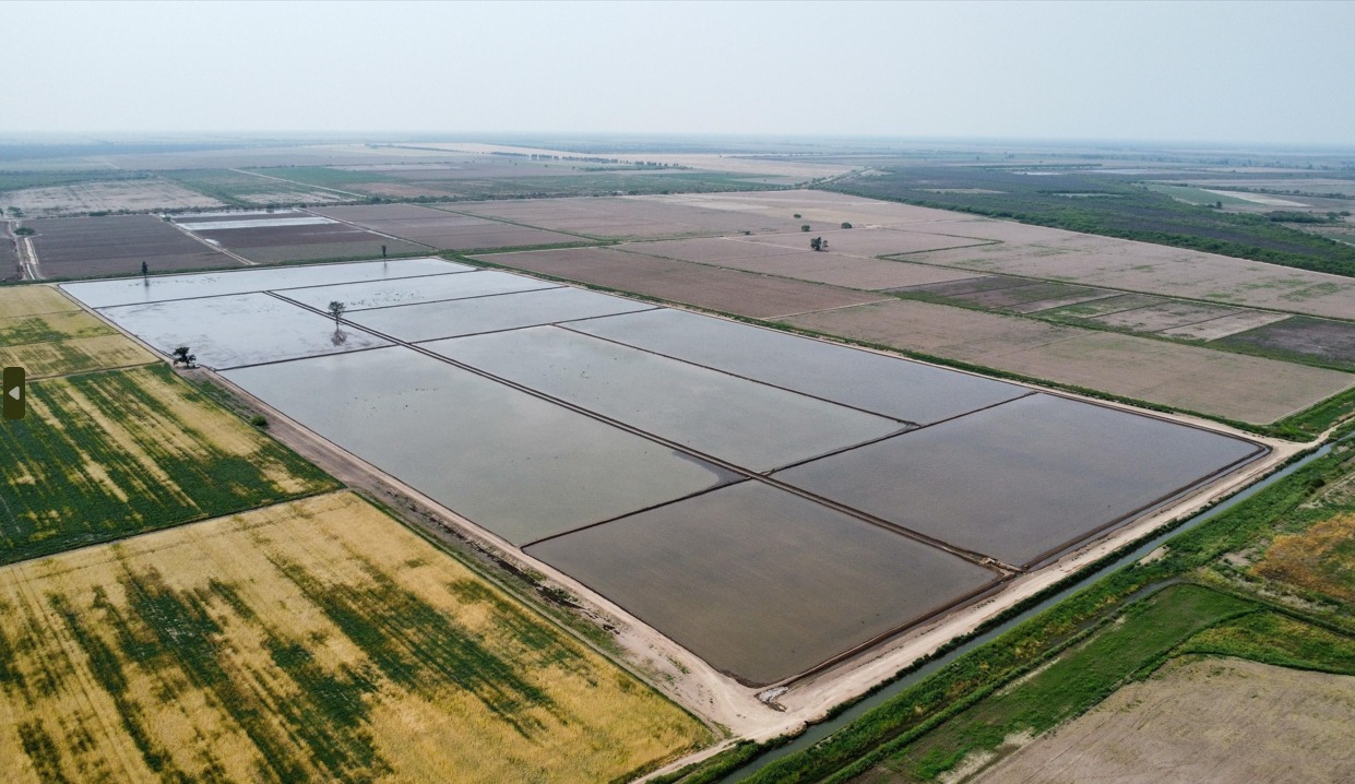 Informe clave sobre el manejo del riego en la alfalfa del Río Dulce