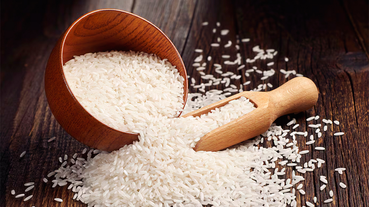 La producción de arroz en Argentina creció 34% y alcanzó su segundo mayor registro en 15 años