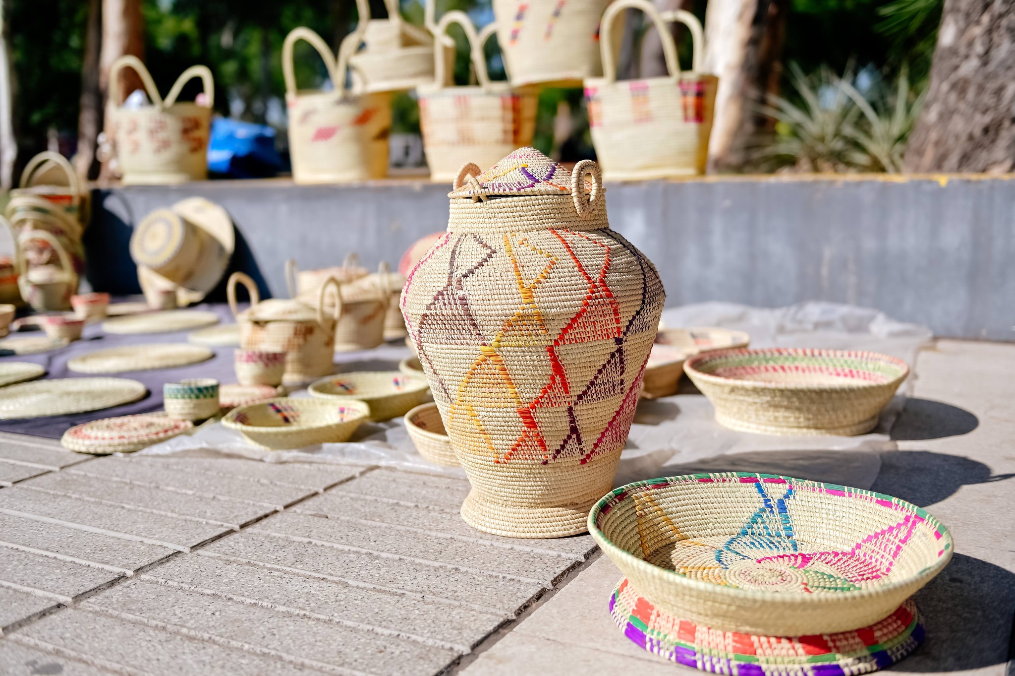 Cestería termeña, un tesoro que une tradición, turismo y producción