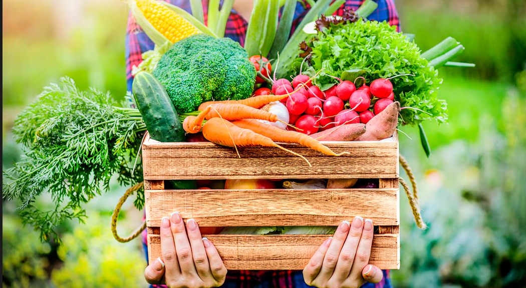 Coninagro: seis economías regionales en rojo, cuatro en verde y nueve en amarillo