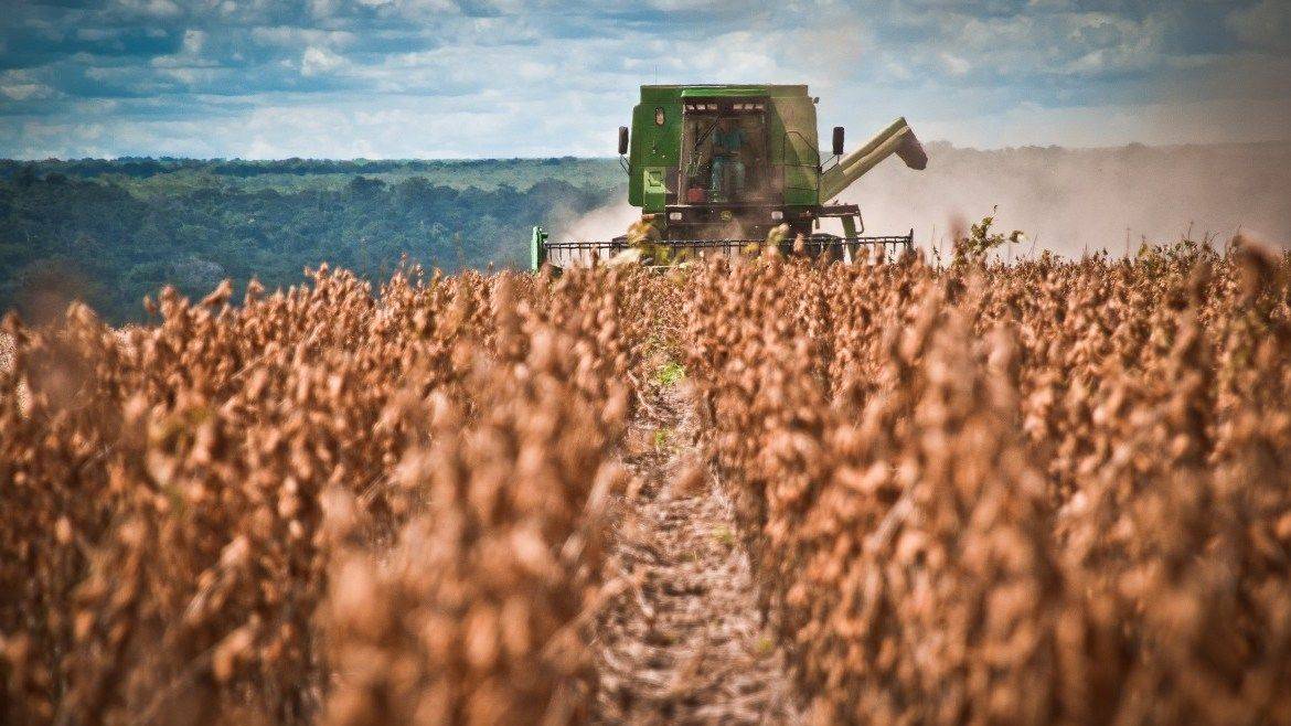 Santiago del Estero lidera las exportaciones del Norte en el primer semestre de 2025