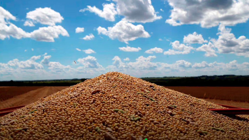 La soja ganó $17.000 en la semana en medio de la polémica por la fugaz aplicación de las retenciones cero