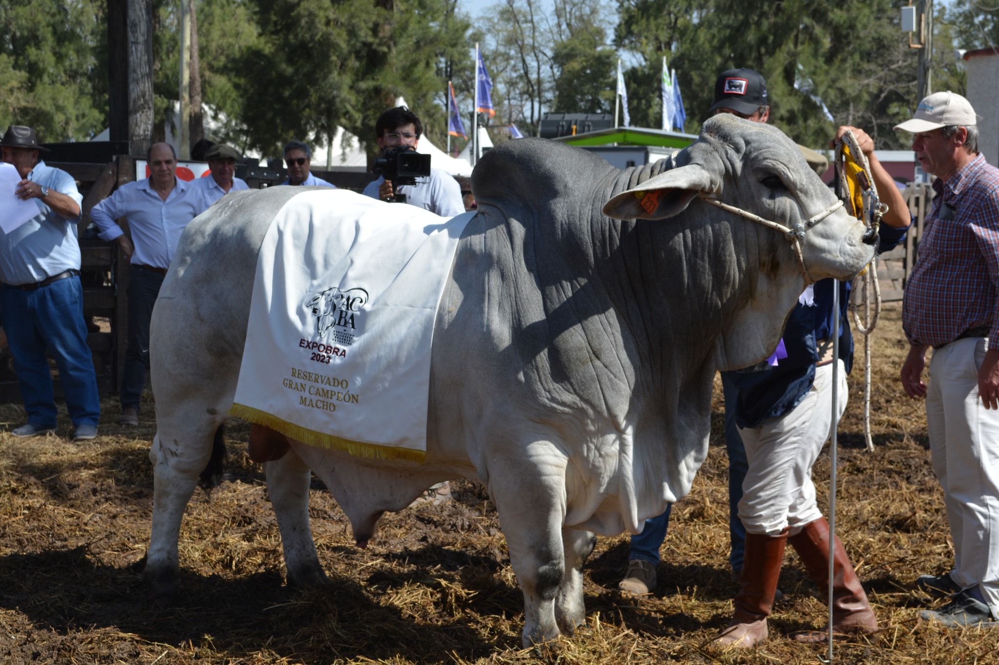 La Provincia duplicará el apoyo financiero a productores ganaderos en la ExpoBra