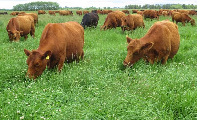 Profesionales veterinarios se capacitarán en Malbrán en una nueva jornada técnica del INTA