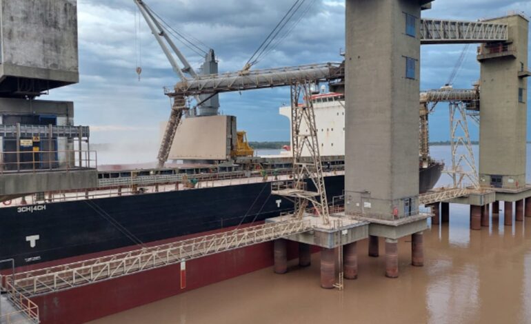 Trazabilidad ambiental: Europa exigirá soja libre de deforestación y el país analiza costos de adaptación