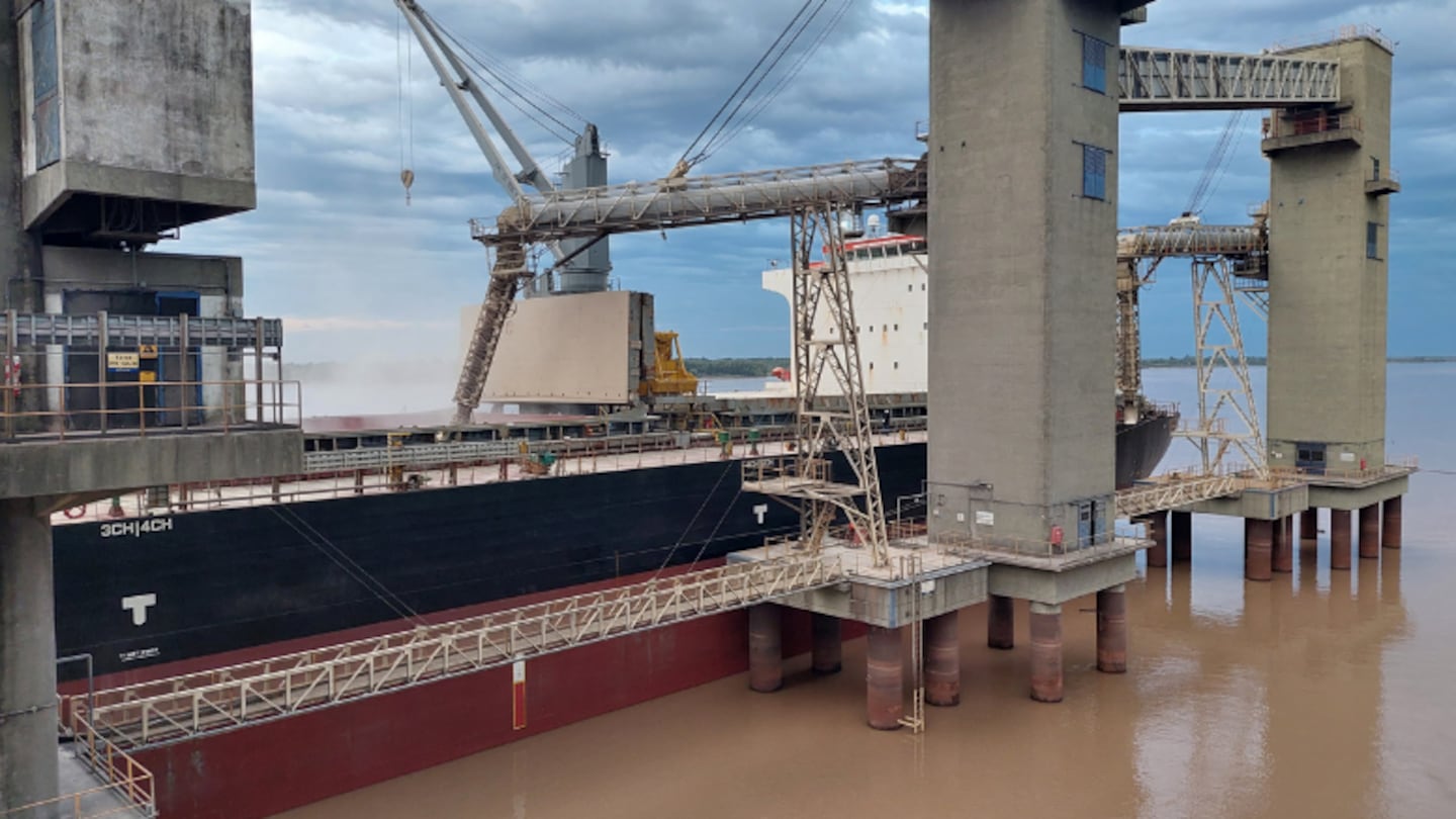 Trazabilidad ambiental: Europa exigirá soja libre de deforestación y el país analiza costos de adaptación