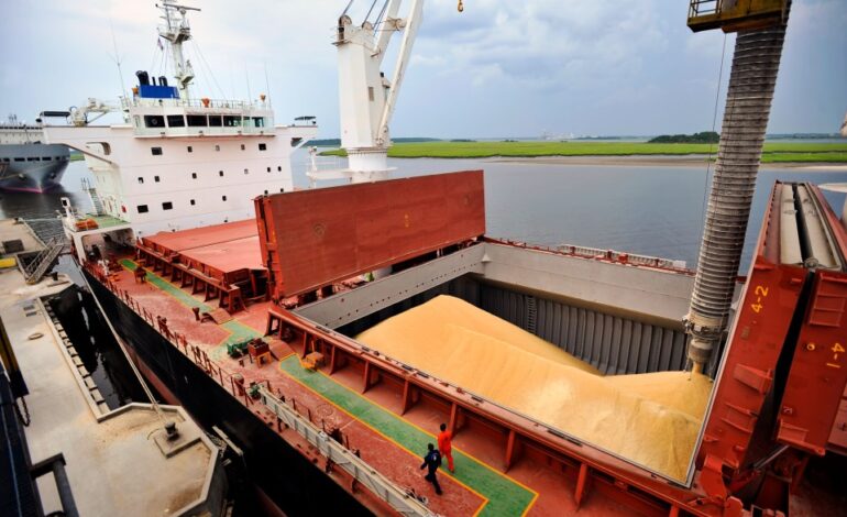 Con subas de hasta 91%, las exportaciones de cereales alcanzaron 38,4 millones de toneladas y US$ 8621 millones