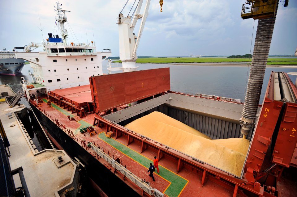 Con subas de hasta 91%, las exportaciones de cereales alcanzaron 38,4 millones de toneladas y US$ 8621 millones
