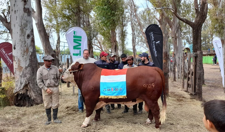 El sur santiagueño mostrará su potencial productivo en la Expo Rural Sumampa 2022