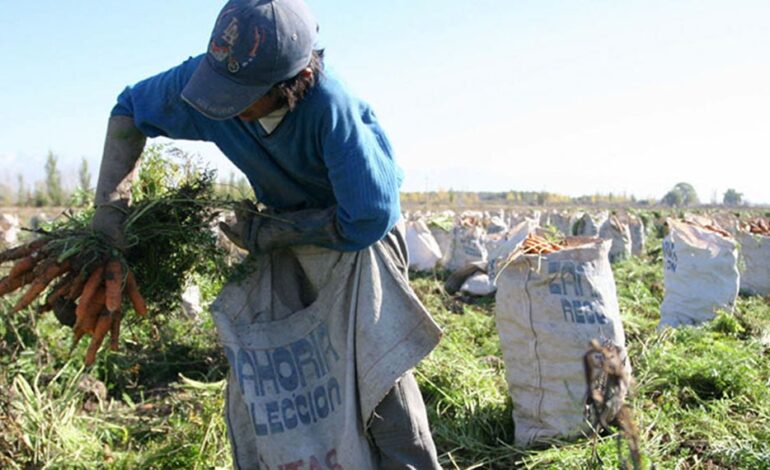 Prorrogan compatibilidad de planes sociales con trabajo rural registrado