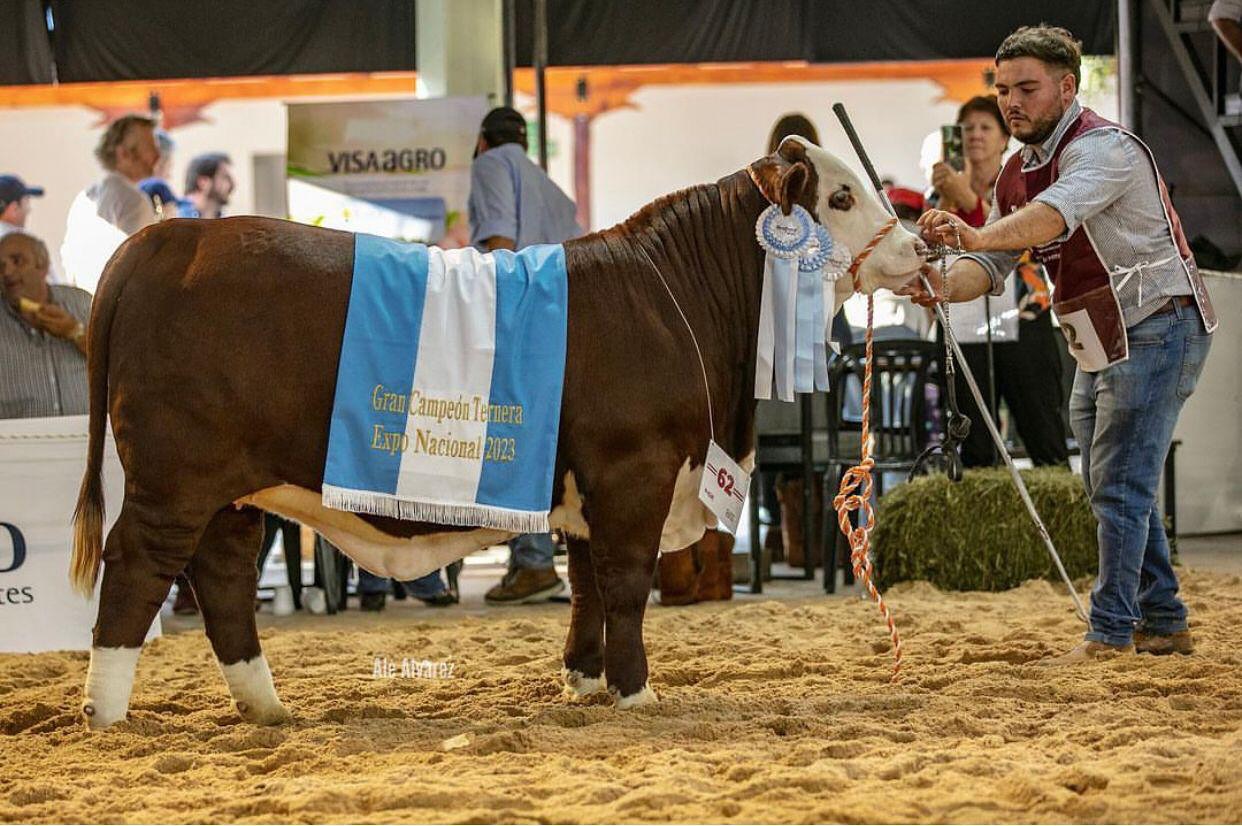 El santiagueño Juan Zeman (h) será jurado en la Nacional Primavera Braford