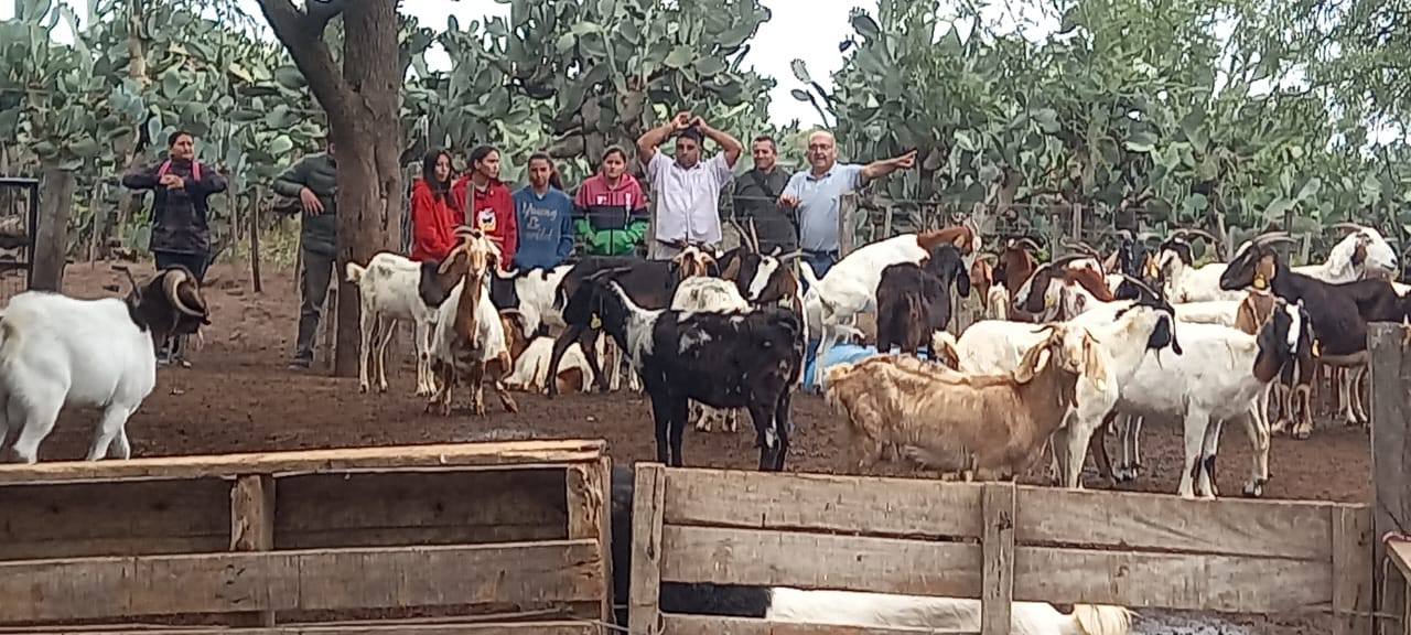 Avanza la capacitación en producción caprina