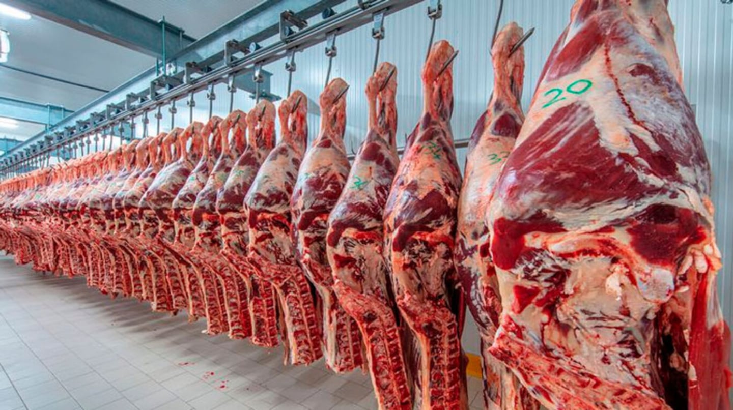Las exportaciones de carne vacuna cayeron en octubre, pero el valor acumulado del año sigue en alza
