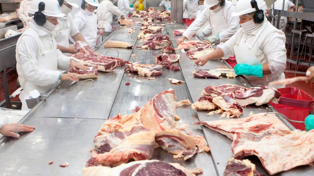 Comercio exterior: Argentina abrió el mercado de Chile para exportar vísceras y otros derivados de origen animal