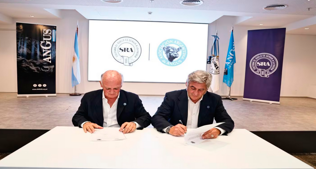 Dos entidades del campo avanzan en un acuerdo para facilitar la expansión de una emblemática raza bovina