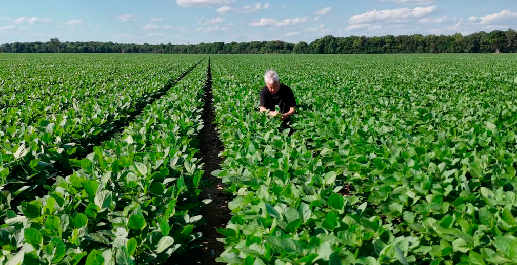 El agro argentino rechazó las salvaguardias agrícolas que impulsa la Unión Europea en el acuerdo Mercosur-UE