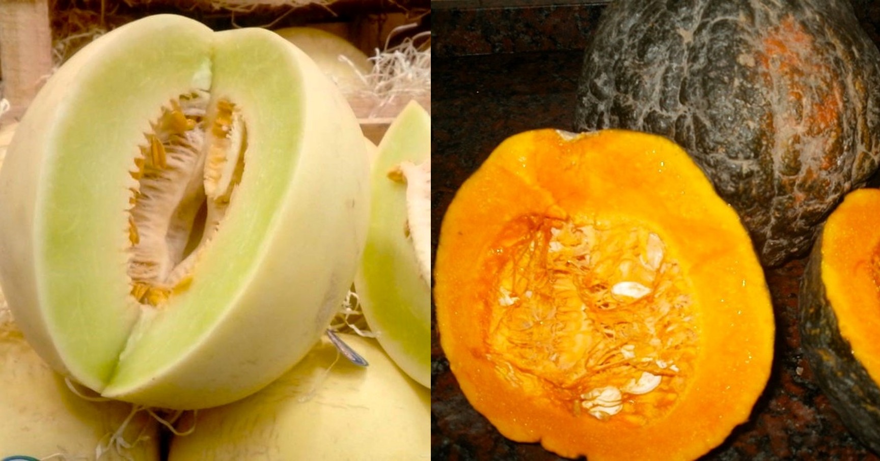 Relevan la producción de melón y zapallo kabutia, cultivos de alta importancia económica en la región del río Dulce