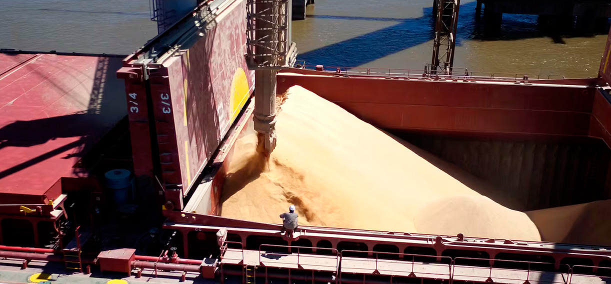 El agro reclama cambios en el RIMI para ampliar el alcance de las inversiones medianas