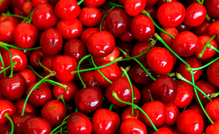 Una granizada castigó a la cereza patagónica y reclaman medidas urgentes para sostener la actividad