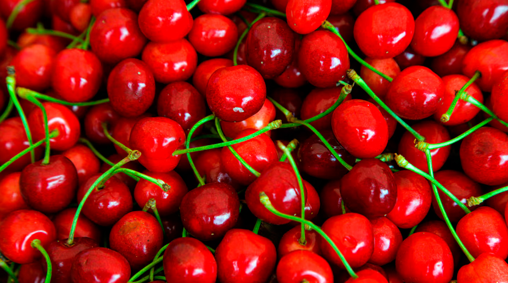 Una granizada castigó a la cereza patagónica y reclaman medidas urgentes para sostener la actividad