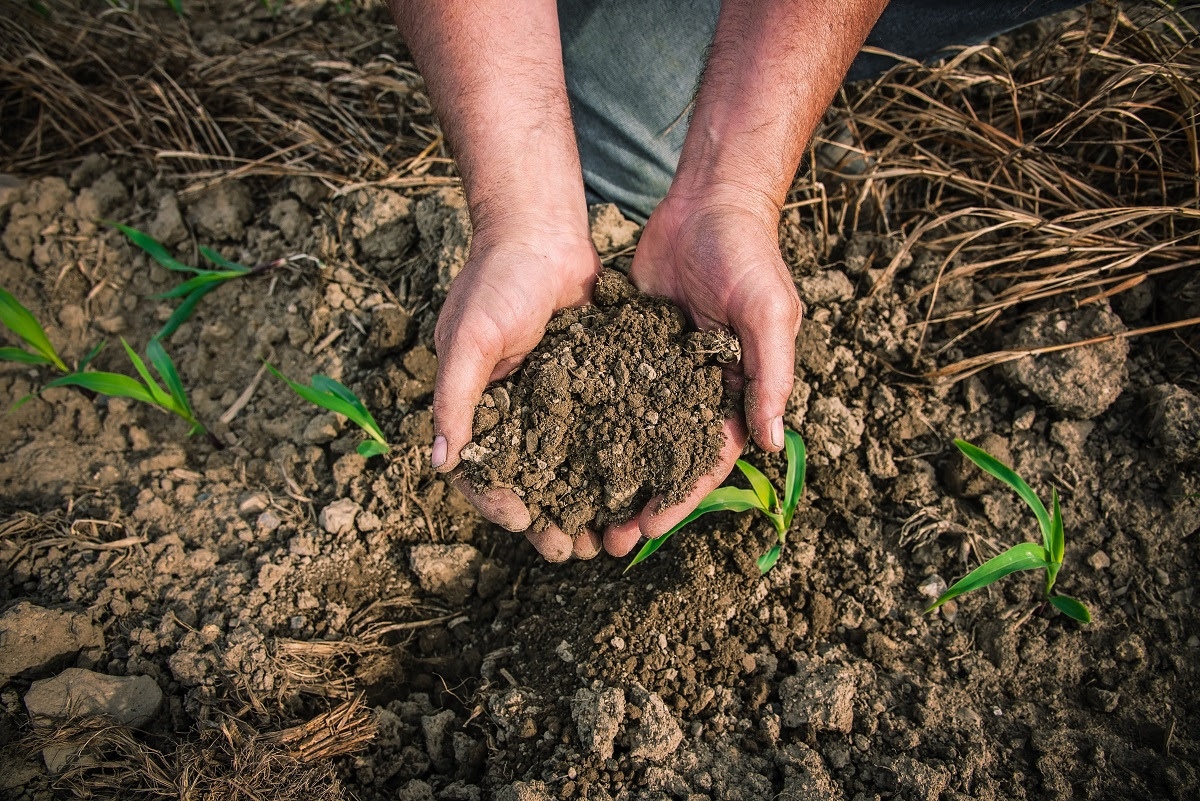 Suelos sanos para comunidades fuertes