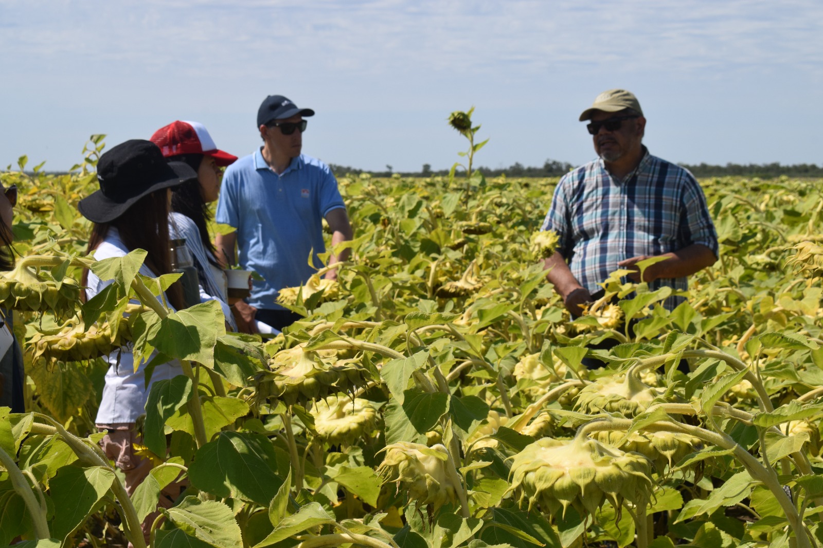 INTA Quimilí destacó logros de gestión en 2025 y anticipó los desafíos para el próximo año