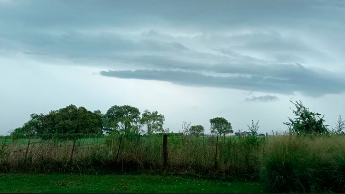 La campaña agrícola 2025/2026 mantiene alto potencial productivo, pero el clima impone alertas