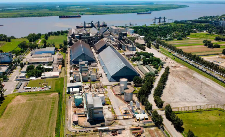 Diez exportadores concentraron el 90,5% de las ventas externas de granos en 2025