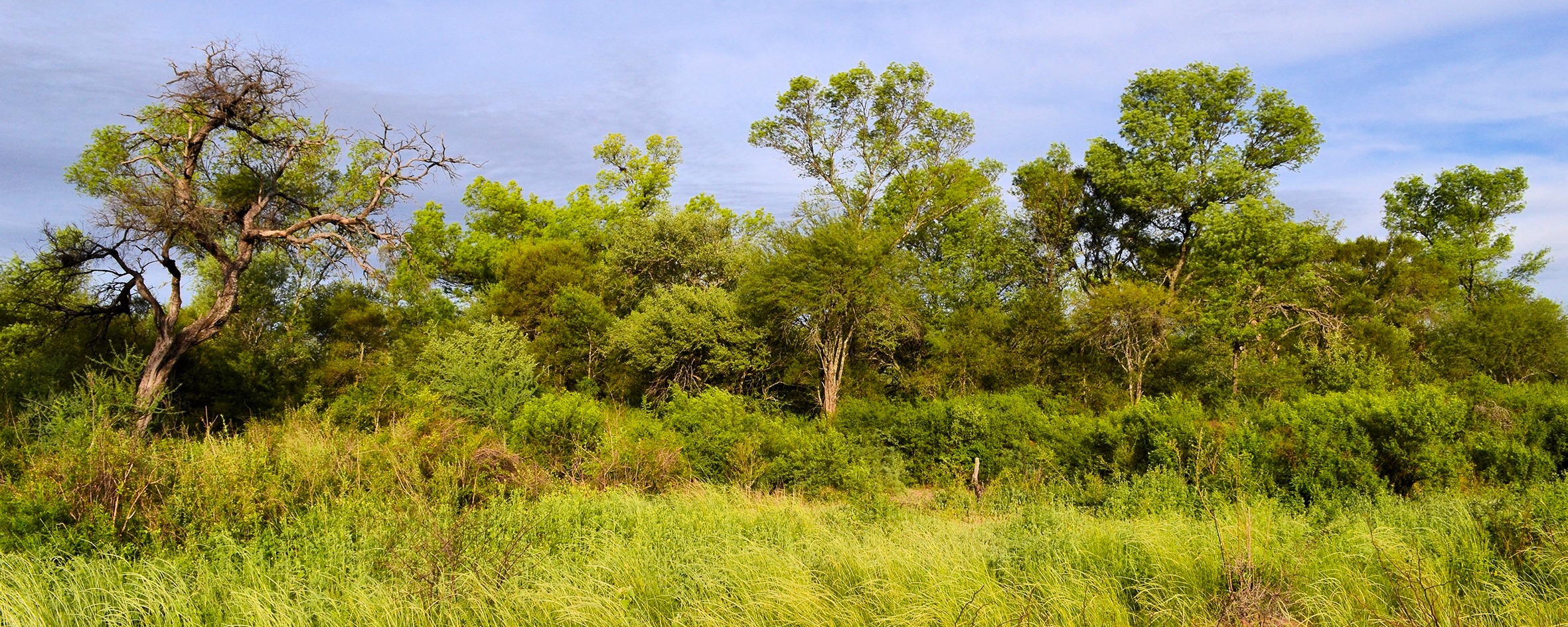 La FAO financia planes de impacto para el desarrollo forestal y comunitario