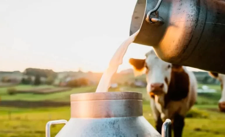 La producción nacional de leche alcanzó el mayor nivel de los últimos 10 años