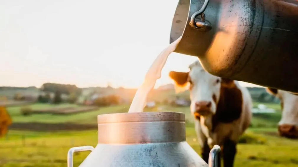 La producción nacional de leche alcanzó el mayor nivel de los últimos 10 años