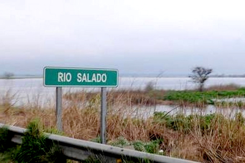 Relevamiento de la calidad del agua del río Salado