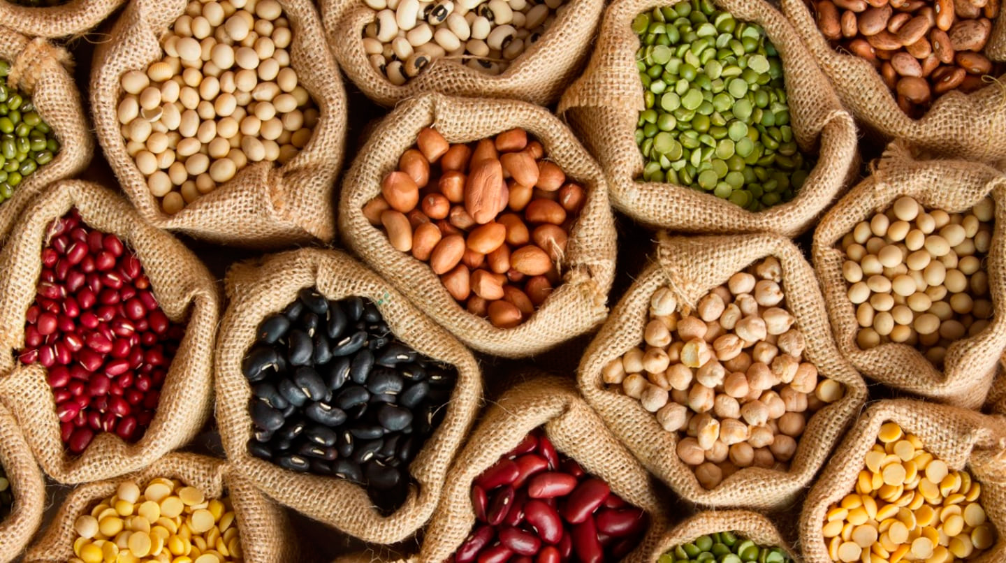 Legumbres en Argentina: récord productivo y fuerte impulso exportador
