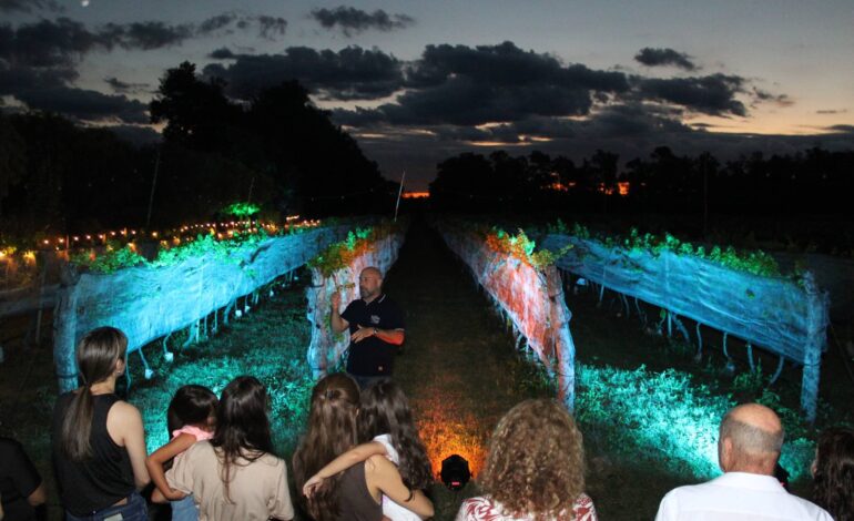 Finca María del Pilar celebró la Vendimia con un emotivo homenaje al trabajo y la tradición