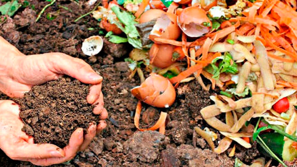 Compostaje: una alternativa sustentable para reducir la basura domiciliaria