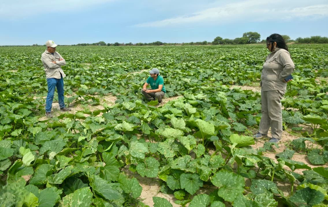 Persisten los efectos de las lluvias en el cinturón frutihortícola del río Dulce y evalúan el impacto en la próxima campaña