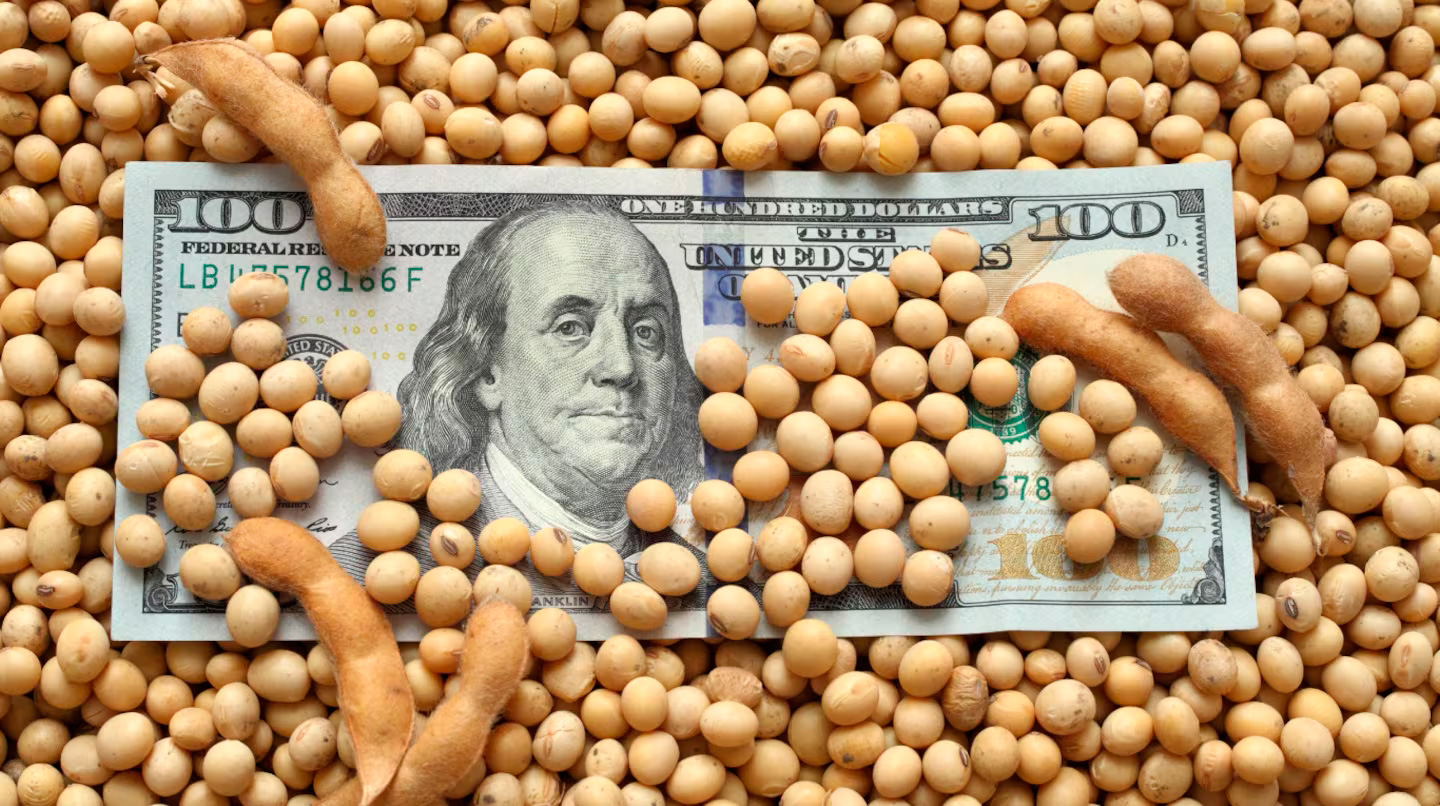 Impulsada por el rebote del dólar oficial, la soja ganó $10 mil en Rosario