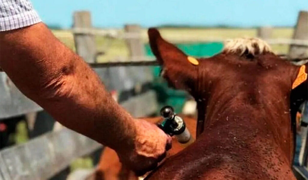 El sector ganadero se reunió en Malbrán para actualizar conocimientos sobre garrapata bovina