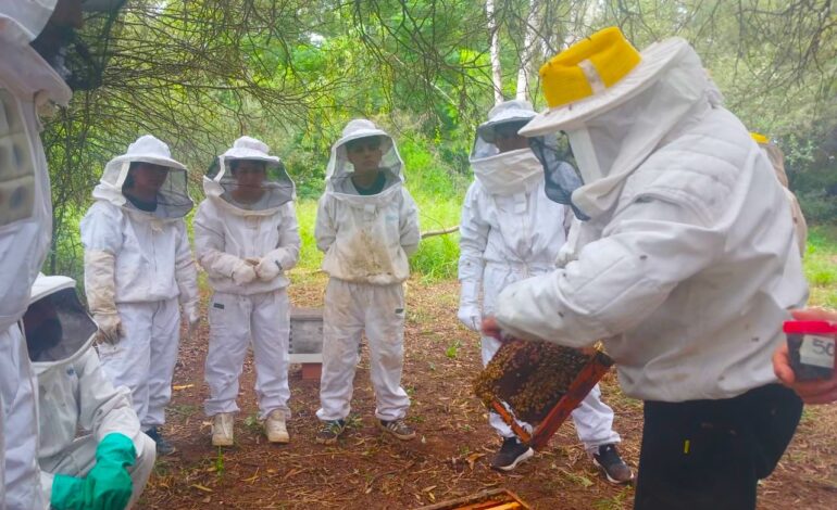 Del diagnóstico a la práctica: productores apícolas fortalecen sus conocimientos