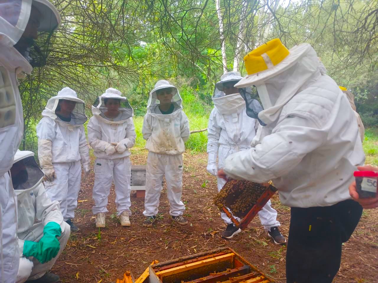 Del diagnóstico a la práctica: productores apícolas fortalecen sus conocimientos