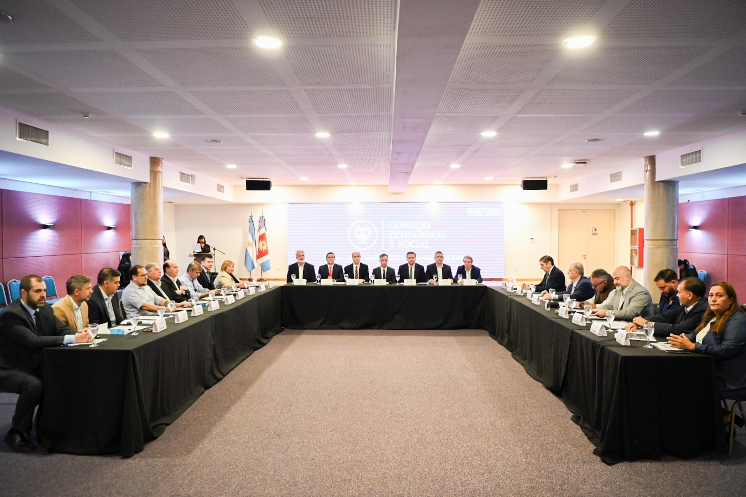 Primer plenario del Consejo Económico y Social