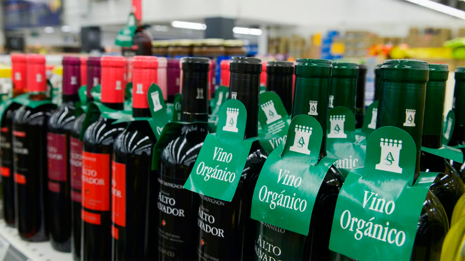 Las exportaciones orgánicas argentinas crecieron 31% en 2025 y alcanzaron “un récord histórico”