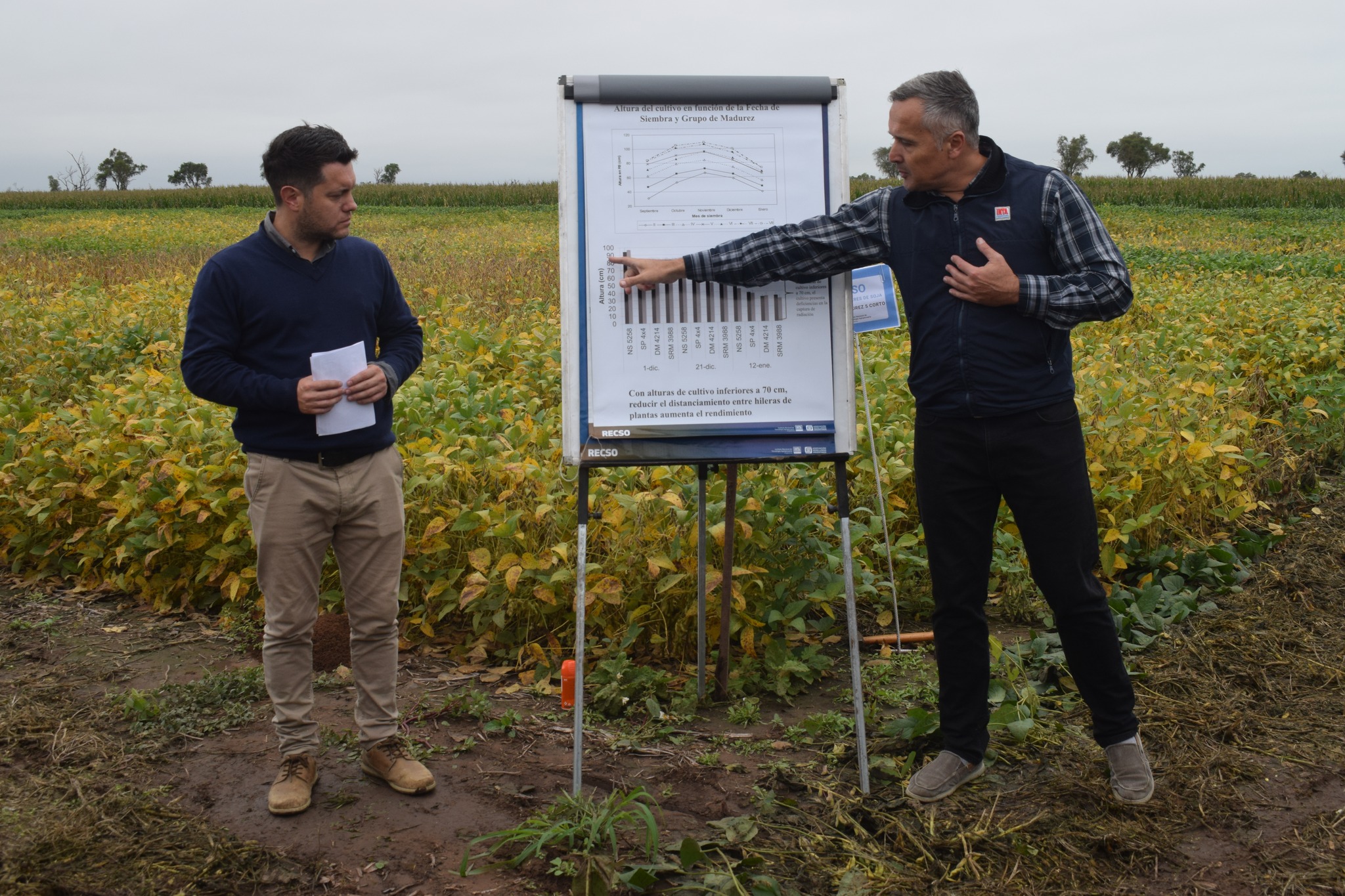 Se realizó una jornada a campo sobre soja con fuerte participación técnica y productiva